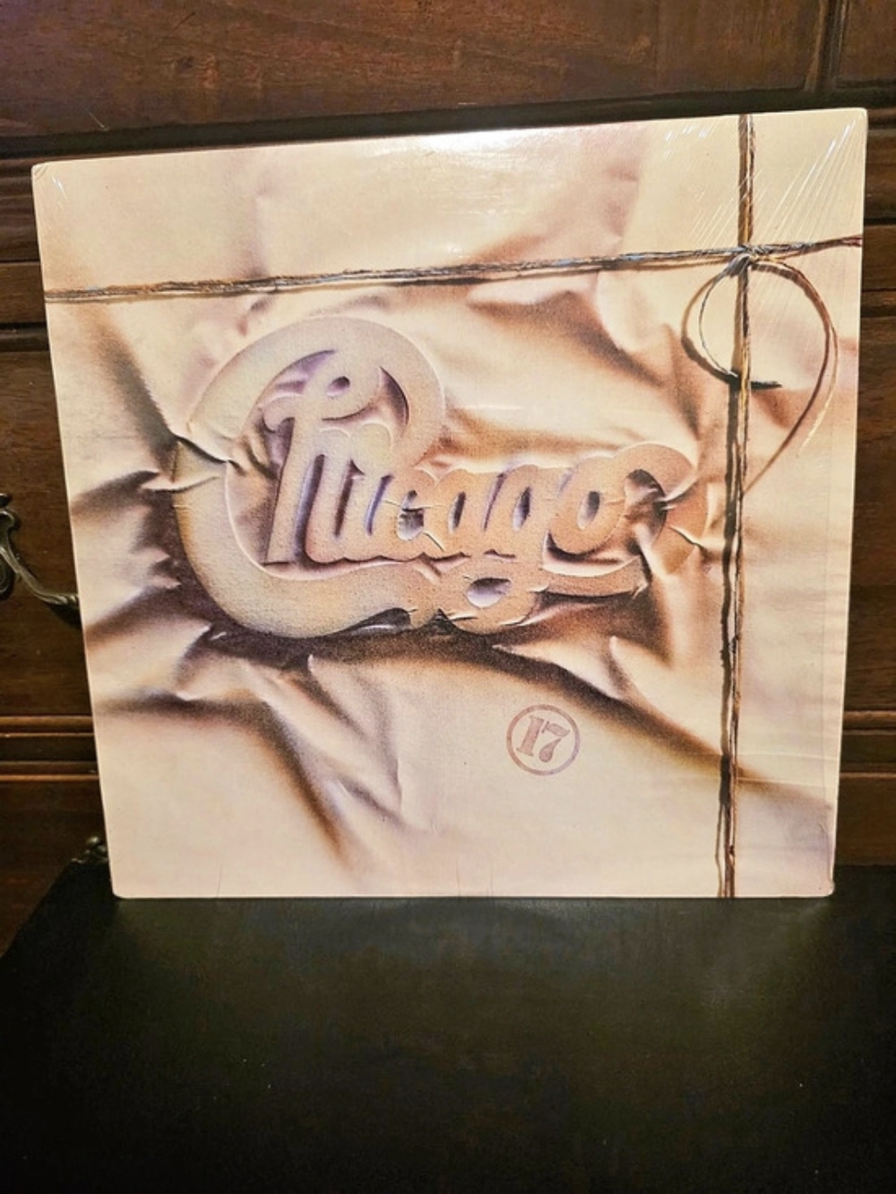 Chicago Vinyl Record Album Cover Art Cream Brown NWT